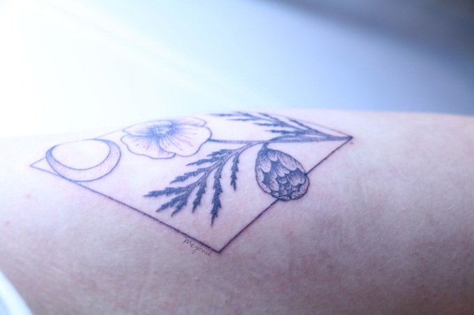 meyonie-tatouage-botanique-geometrique-toma-pegaz-landcape-tattoo-blogueuse